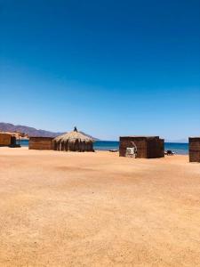 a beach with a straw hut and the ocean at Reef Beach Camp in Nuweiba +7 photos