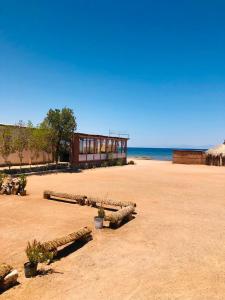 a sandy beach with a building on the beach at Reef Beach Camp in Nuweiba