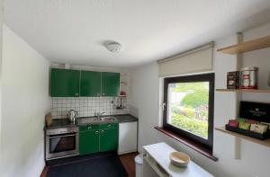a small kitchen with green cabinets and a window at Hava apartment in Sarajevo +2 photos