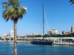 a palm tree next to a boat in the water at M-Room in Málaga