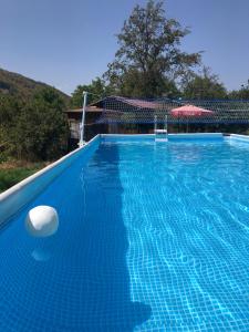 a blue swimming pool with a ball in the water at Aygut Garden in Aygut