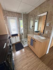 ein Badezimmer mit Waschbecken und Dusche in der Unterkunft Azura in Roberval