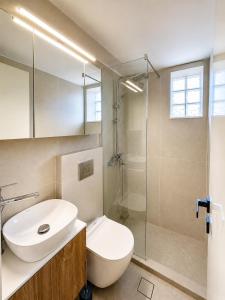 a bathroom with a toilet and a sink and a shower at Olea Verde Loft Apartment in Lefkimmi +23 photos