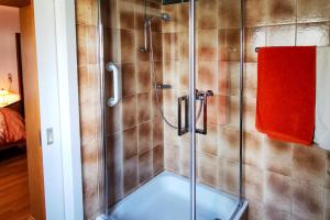 a shower with a glass door in a bathroom at NEU! FeWo Moritz OG in Selters