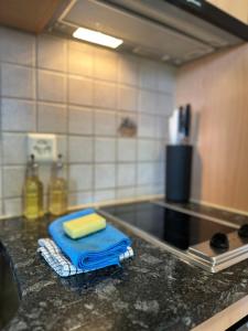 a kitchen with a counter top with a blue towel at CapoBnB, Montainview, Terrace in Aeschi bei Spiez +52 photos