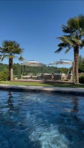 a swimming pool with two palm trees and benches at Maison Maün in Gelos