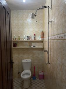 a small bathroom with a toilet and a shower at Belalonte House, Iringa in Iringa +24 photos