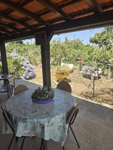 a table with a bowl of grapes on it on a patio at Quinta Real Kiwibee in Barrô +9 photos