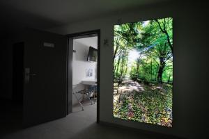 a door with a picture of a forest at Walters Weidelbach in Haiger