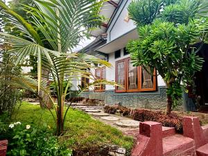 a house with a palm tree in front of it at Zzz Ijen Hostel in Banyuwangi
