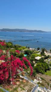 a view of a body of water with pink flowers at Seaview Home Bacoli in Bacoli