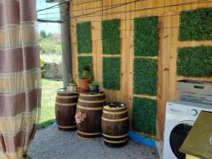 a kitchen with four wooden barrels with a green wall at Casa Piedra Miranda. in Vilaboa