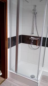a shower with a glass door in a bathroom at Ferienwohnung Mariechen in Medebach