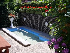 Aparthotel Klara في تيميندورفير ستراند: حمام سباحة مع مزهرية وزهور على جدار من الطوب
