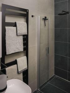 a bathroom with a shower with a glass door at Das Bauhaus-Eck in Dobritz +17 photos