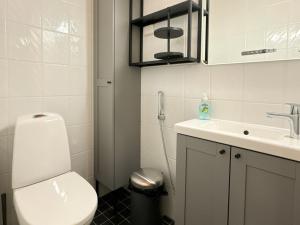 a small bathroom with a toilet and a sink at Par 10 in Tahkovuori