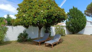 two chairs and a tree in a yard at Maison Barbâtre in Barbâtre