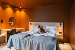 Ein Hund sitzt auf einem Bett in einem Schlafzimmer in der Unterkunft Citybox Bergen City in Bergen + 67 Fotos
