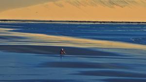 a person walking in the water on the beach at Vila hangloose vista da lagoa in Acaraú