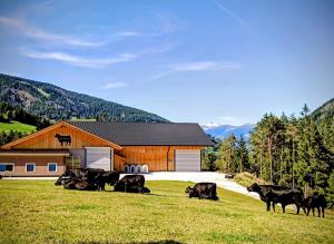 a herd of cows grazing in a field in front of a barn at Lüch de Tor in San Martino in Badia