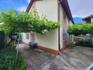 a house with a tree in front of it at Villa BITKOSKI Pestani in Peštani