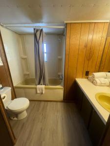 a bathroom with a toilet and a tub and a sink at Admiral's Cove Resort in Lemoyne +63 photos
