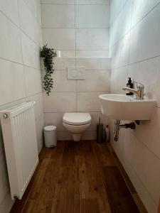 a bathroom with a toilet and a sink at Apartmán U nás na vsi in Nový Jáchymov