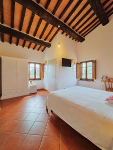 a bedroom with a large bed in a room at Il casale di Sandra in Chiusi +111 photos
