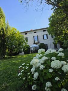 a bush of white flowers in front of a house at Podere Pradarolo in Varano deʼ Melegari
