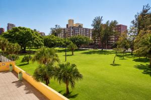 a green park with palm trees and buildings at Oceanic Apartment - City and Stadium Views3 - Self-Catering in Durban