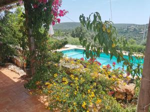 a swimming pool in a garden with flowers at casa leia in Porto Nobre