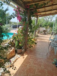 a garden with a pergola and a swimming pool at casa leia in Porto Nobre