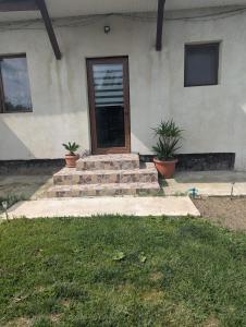 a house with a door and some plants in front of it at Cozy House Corbu in Corbu