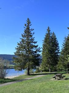 a picnic table in a park next to a lake at Lake View in Le Sentier