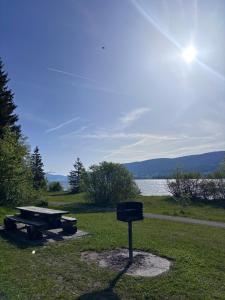 a picnic area with a grill and a picnic table at Lake View in Le Sentier +15 photos