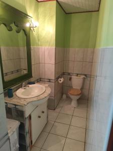 a bathroom with a sink and a toilet at Studio Zen Attitude à 10 minutes des belles plages in Le Marin +26 photos