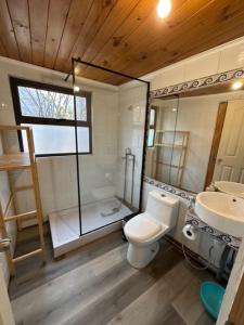 a bathroom with a toilet and a sink at Hostal Piolet en Baños Morales in San José de Maipo +73 photos