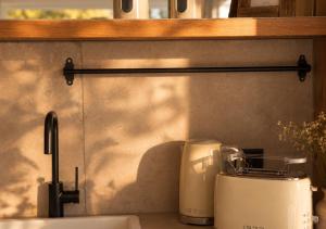 a kitchen counter with a toaster next to a sink at Erftlodges L2 in Bad Münstereifel +4 photos