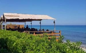 a restaurant on the beach with the ocean in the background at CASA Piana in Cervione +25 photos