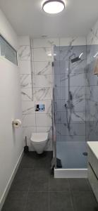 a bathroom with a shower and a toilet at Turystyczna 9 apartamenty & cafe in Sobótka +8 photos