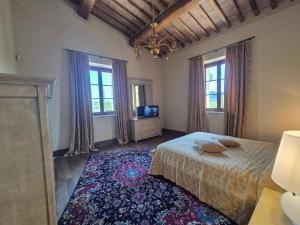 a bedroom with a bed and a tv and windows at Agriturismo Camporotondo in Scarlino