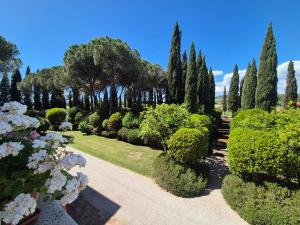 a garden with trees and bushes and a pathway at Agriturismo Camporotondo in Scarlino
