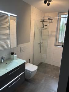 a bathroom with a shower and a toilet and a sink at Fachwerk FeWo Schoningen in Uslar +14 photos