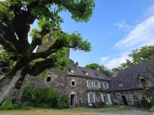 an old stone house with a tree in the foreground at Château de Lescure in Saint-Martin-sous-Vigouroux