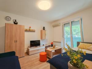 a living room with a couch and a tv at Apartman Lola Ruža in Zrenjanin