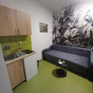 a kitchen with a couch in the corner of a room at Sky Apartments Petrovac in Petrovac na Moru