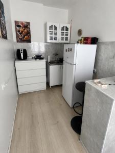 a small kitchen with a white refrigerator and a counter at Apartman Pejovic N in Smederevo