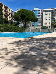 a swimming pool with a tree and some buildings at Chez Raka in Hyères