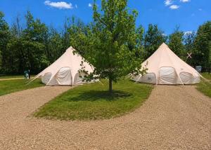 two tents in a field with a tree at Prairie Junction Glamping Tent in Stettler