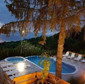 a swimming pool with chairs and a palm tree at Villa Sv Stefan in Ohrid